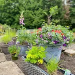 Сasa de vacaciones Benchmark