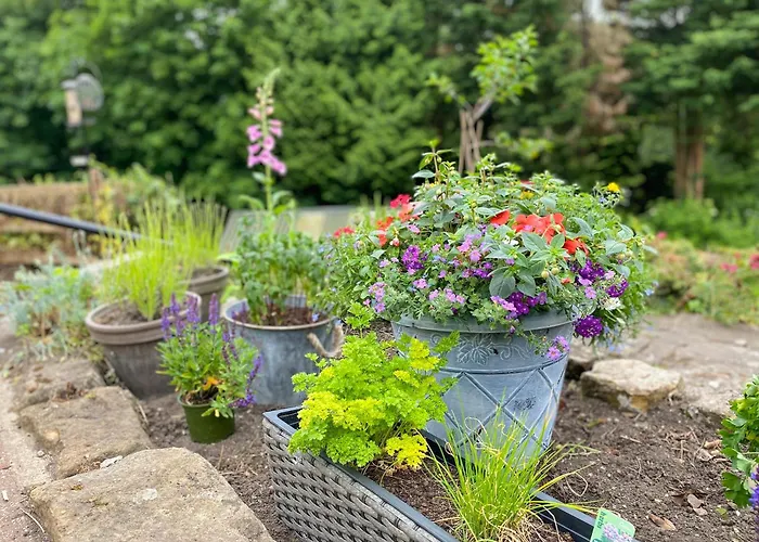 Holiday home Benchmark